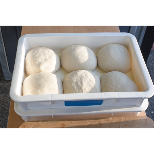 Pizzata Pizza Dough Prep & Proof Box