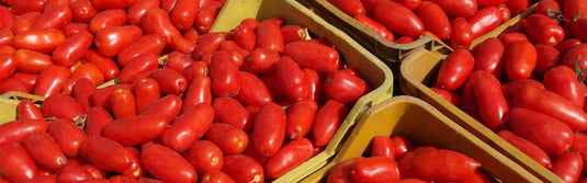 Solania San Marzano Tomatoes D.O.P. 400G